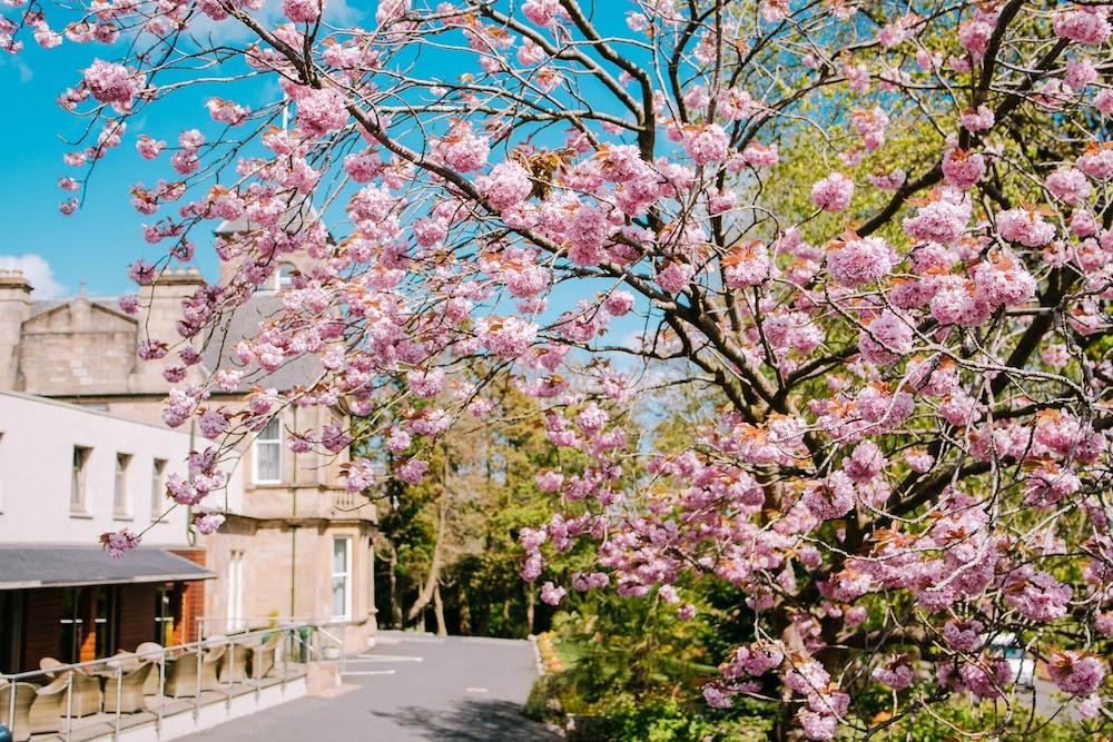 Lynnhurst Hotel Johnstone Bagian luar foto